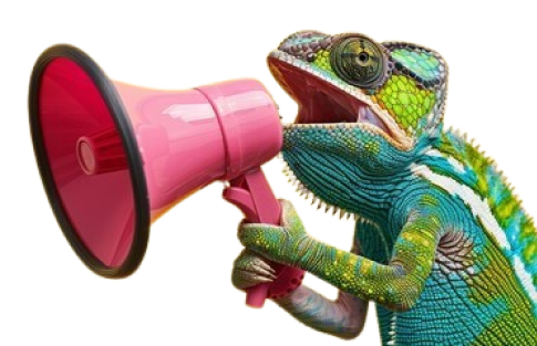 Newsletter all'inCirca